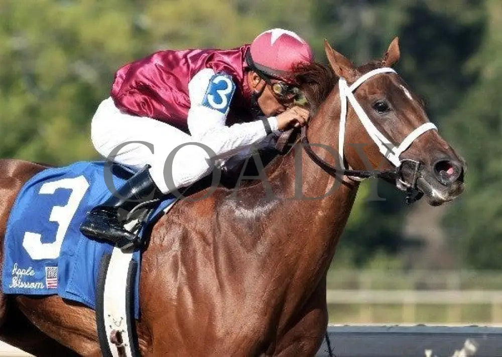 Seventh Street - The Apple Blossom Handicap Oaklawn Park