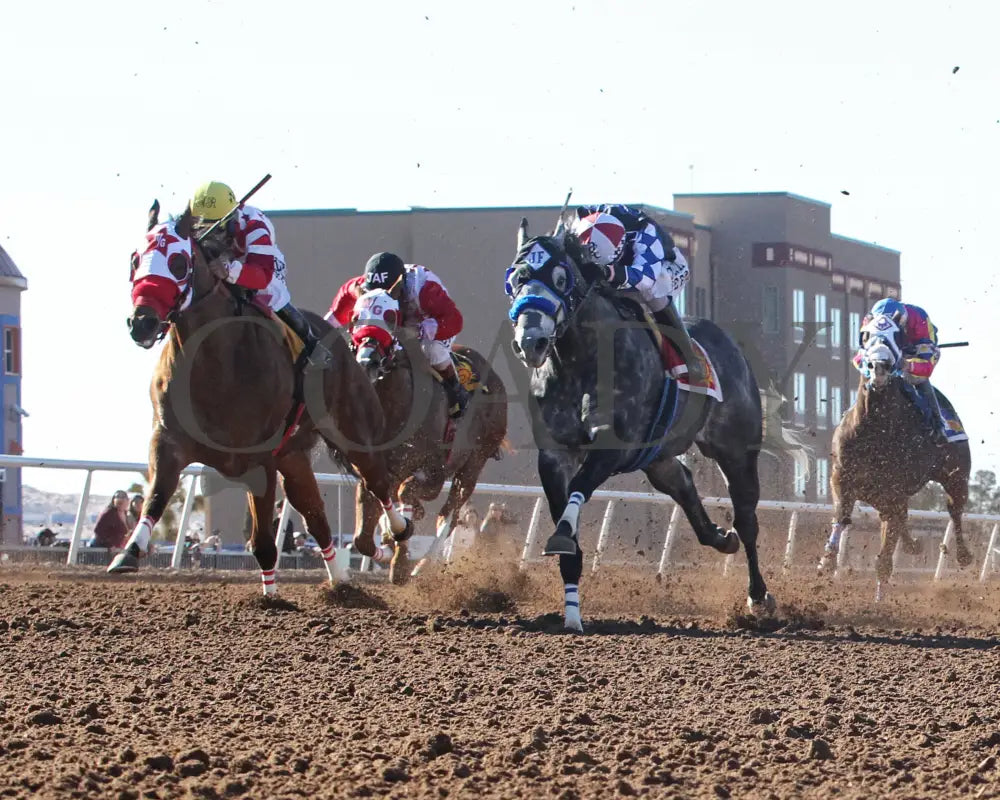 Shakers No Secret - The 23Rd Running Of Championship At Sunland Park G1 02-02-25 R07 Under Rail