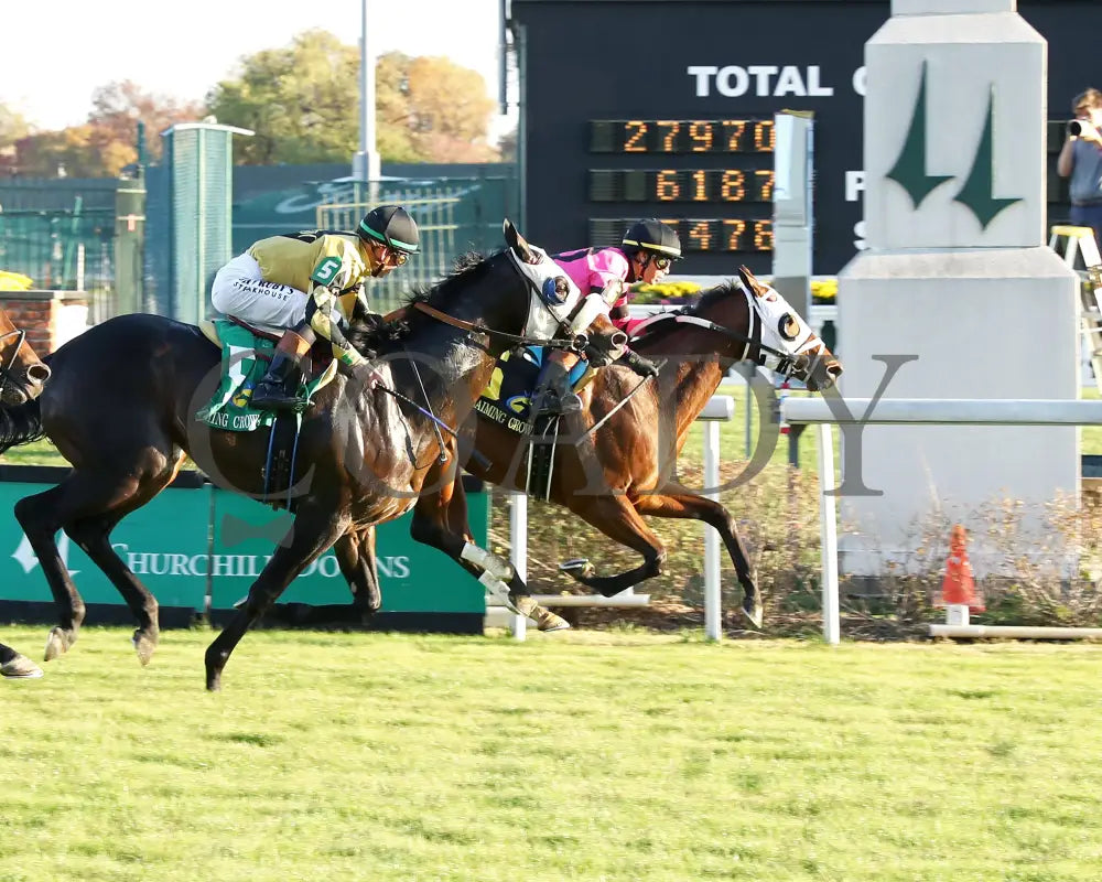 SHAPE NOTE - 111525 - Race 08 - CD - Finish 01 - Coady Media - Kurtis Coady Photography