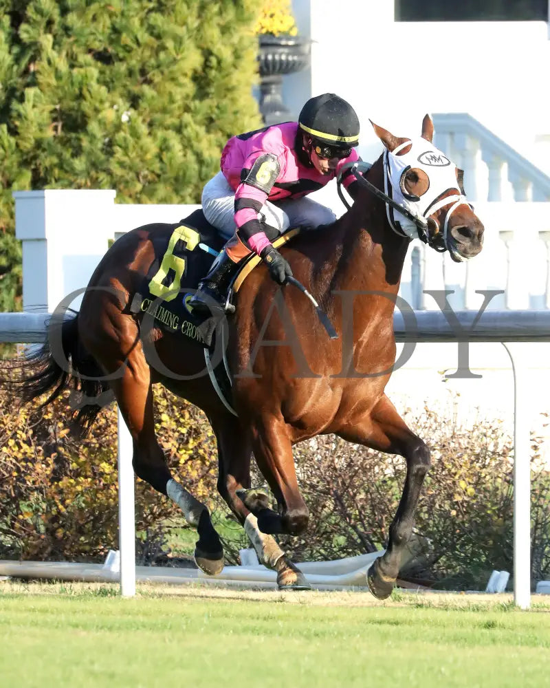 SHAPE NOTE - 111525 - Race 08 - CD - Finish 03 - Coady Media - Kurtis Coady Photography