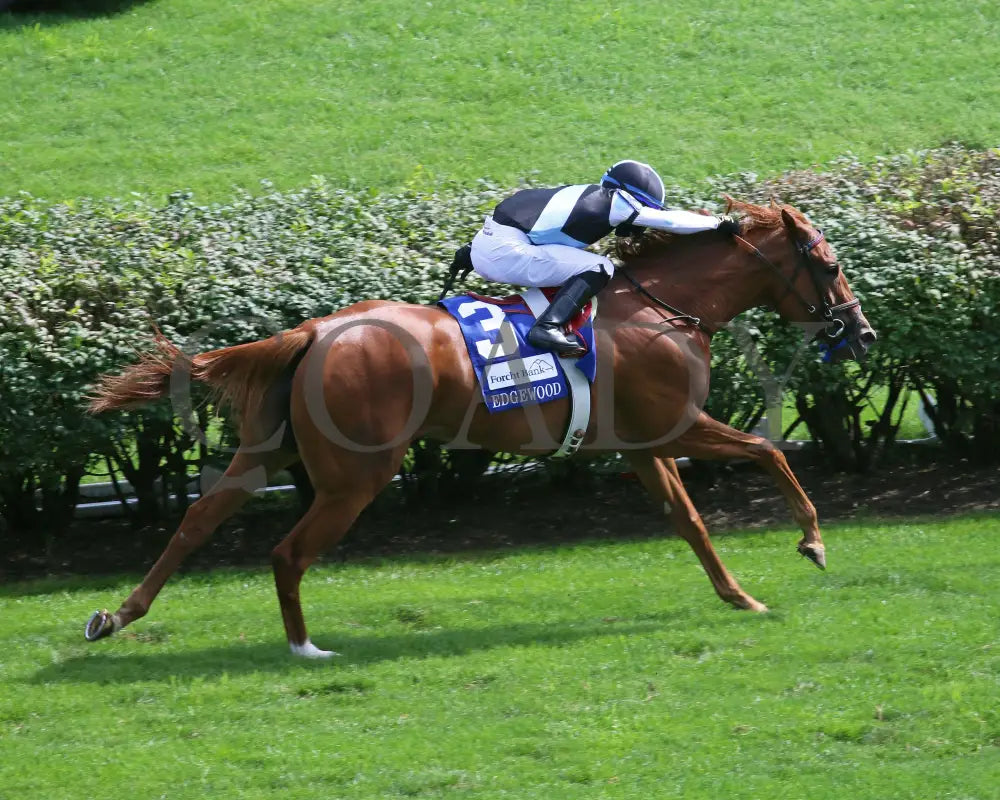 Sharing - The Edgewood G2 36Th Running 09-04-20 R09 Cd Aerial Finish 01 Churchill Downs