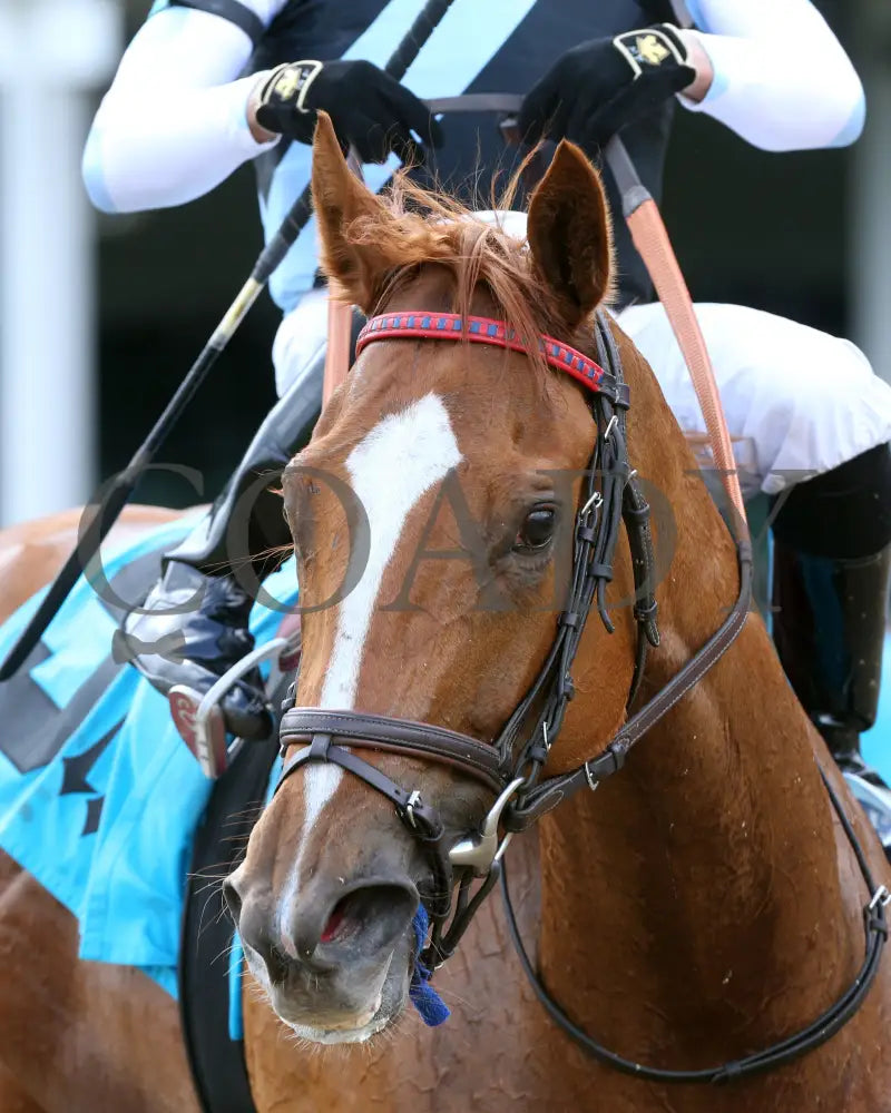 Sharing - The Tepin 1St Running 05-23-20 R08 Cd Come Back 01 Churchill Downs