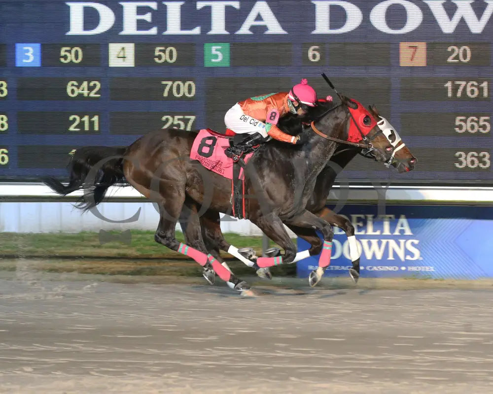 Sharp Charlie - La Bred Premier Ragin Cajun Starter 02-03-24 R11 Delta Downs Finish