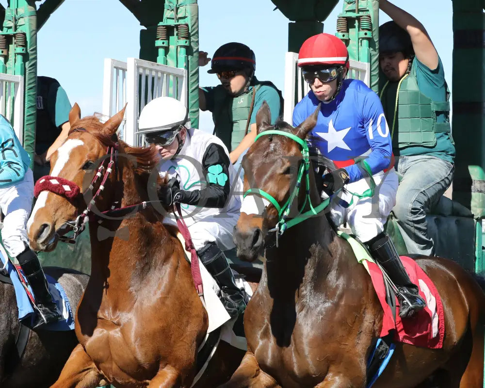 Sharp Lorenzo - Luke Kruytbosch Stakes 02-22-24 R05 Turf Paradise Starting Gate