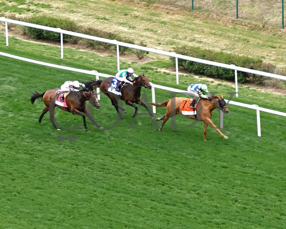 SHE FEELS PRETTY - The Modesty G3 - 05-02-25 - R08 - CD - Aerial Finish 01 Churchill Downs