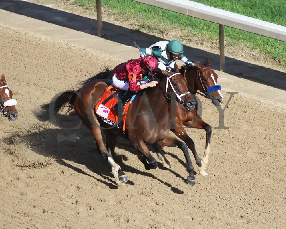 Shedaresthedevil - The Longines Kentucky Oaks 146Th Running 09-04-20 R12 Cd Aerial Finish 02