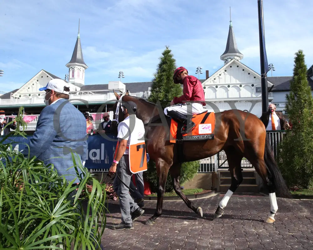 Shedaresthedevil - The Longines Kentucky Oaks 146Th Running 09-04-20 R12 Cd Paddock 01 Churchill