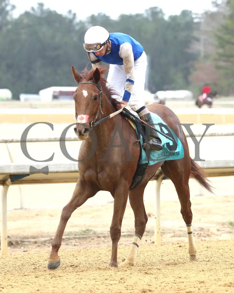 SHEILAHS WARCLOUD - The Stellar Wind Handicap - 03-14-25 - R06 - CNL - Come Back 01 Colonial Downs