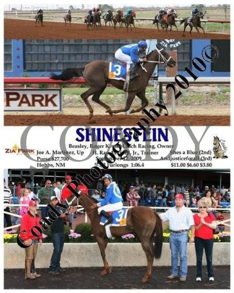 Shinestein - 9 12 2009 Zia Park