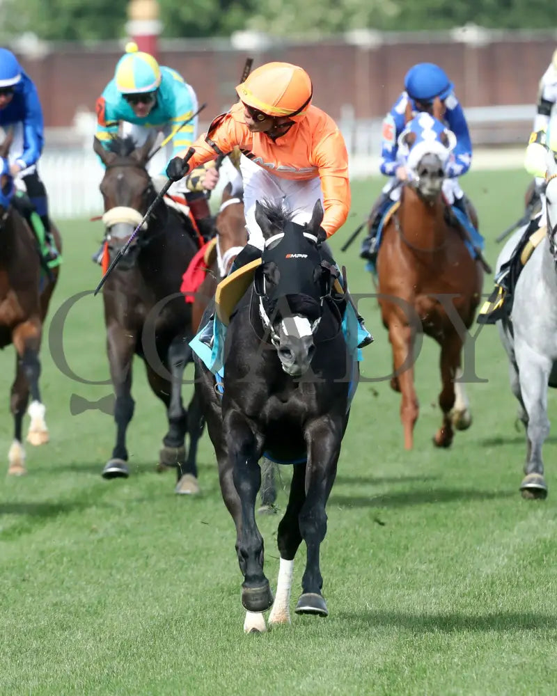 SHISOSPICY - The Mamzelle G3 - 05-10-25 - R10 - CD - Celebration 01 Churchill Downs