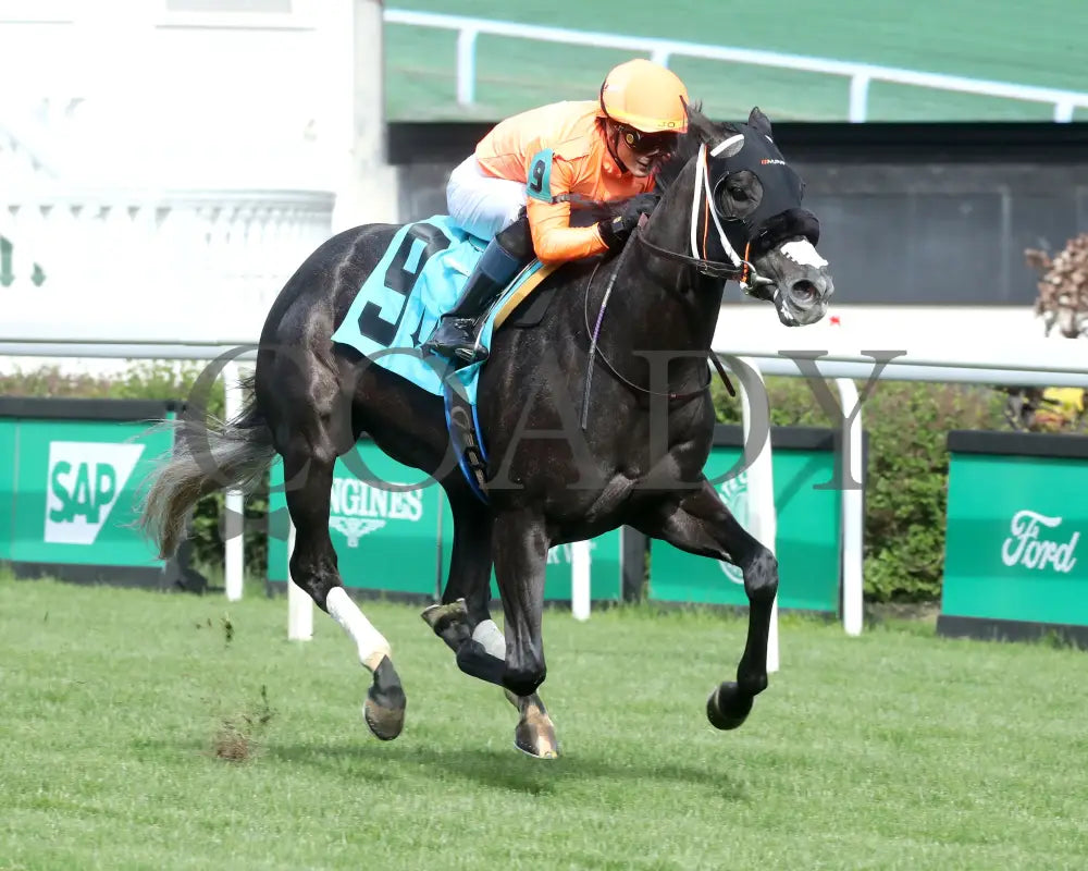 SHISOSPICY - The Mamzelle G3 - 05-10-25 - R10 - CD - Finish 02 Churchill Downs