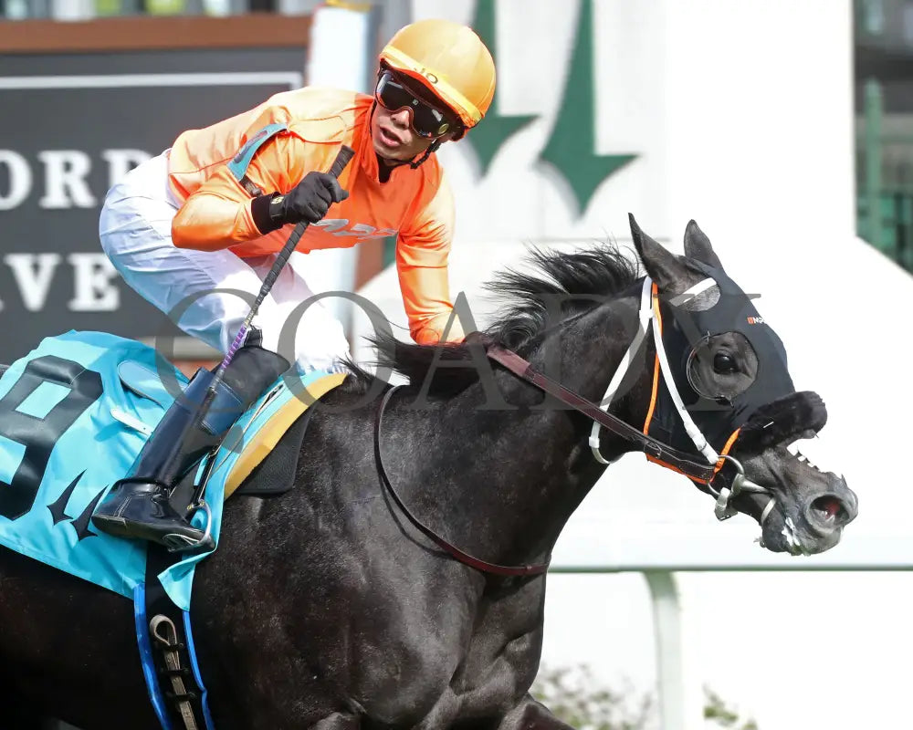 SHISOSPICY - The Mamzelle G3 - 05-10-25 - R10 - CD - Tight Finish 02 Churchill Downs