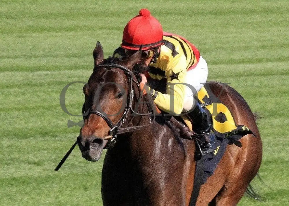 Silver Max - Transylvania 040612 Inside Fin Keeneland