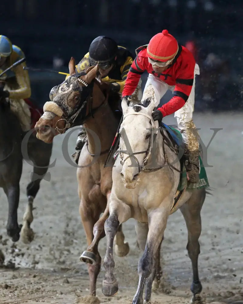 Silver Prospector - Kentucky Jockey Club G2 93Rd Running 11-30-19 R11 Cd Inside Finish 01 Churchill