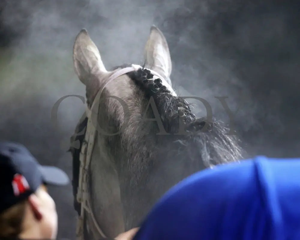 Silver Prospector - Kentucky Jockey Club G2 93Rd Running 11-30-19 R11 Cd Scenic 01 Churchill Downs