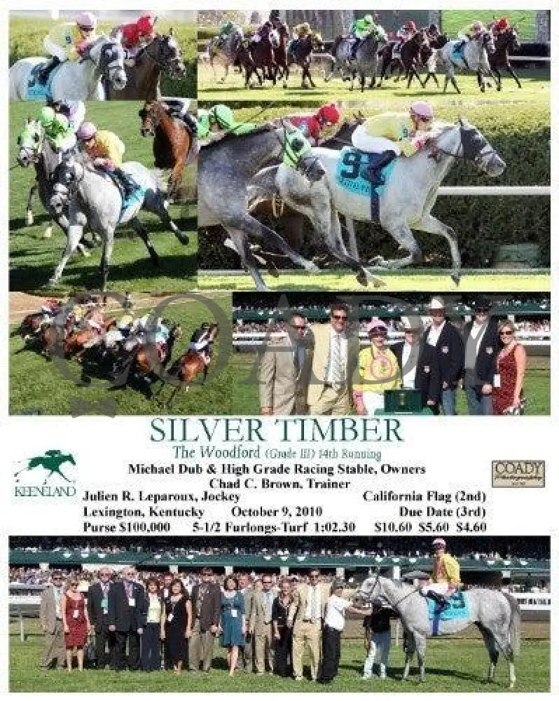 Silver Timber - The Woodford Keeneland