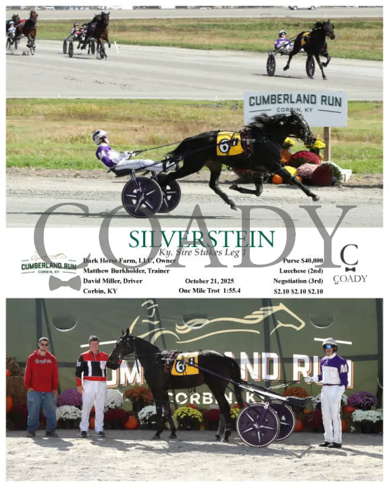 SILVERSTEIN - 102125 - Race 01 - CMR Presque Isle Downs