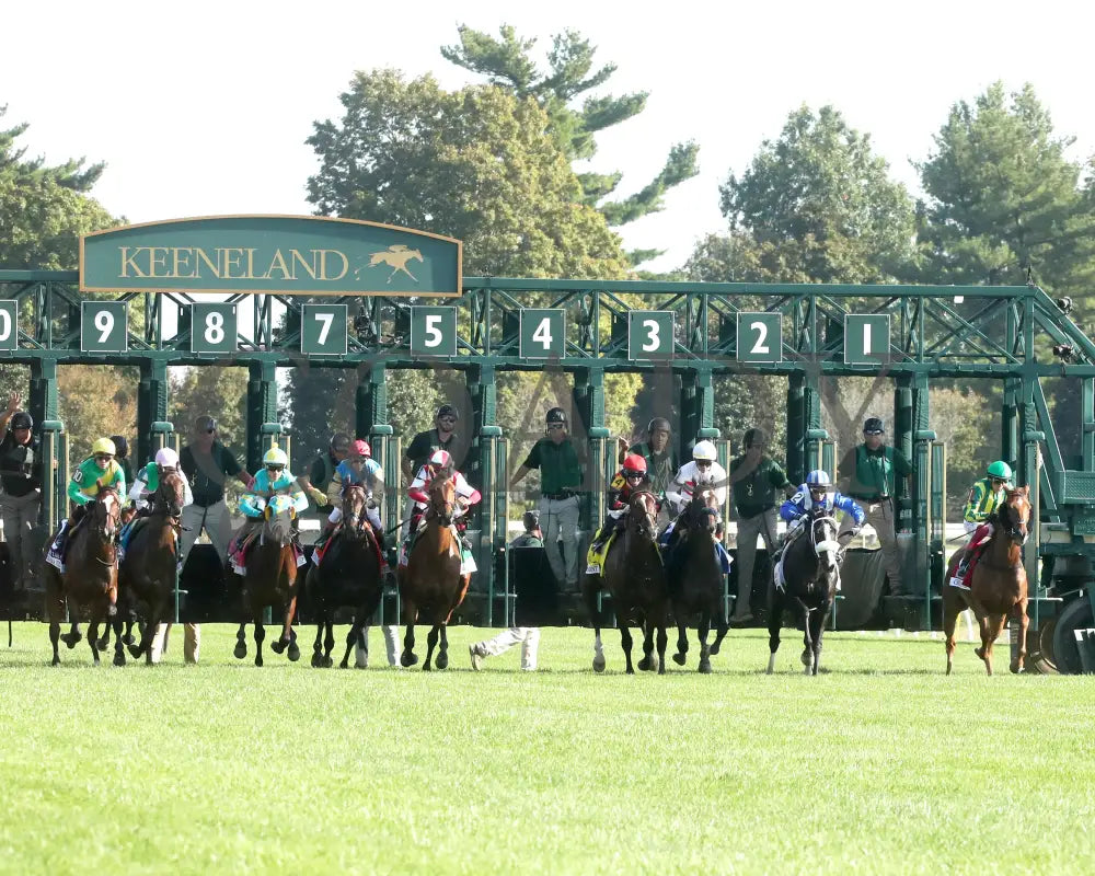 SIMPLY IN FRONT - 100425 - Race 08 - KEE - Start 01 Keeneland
