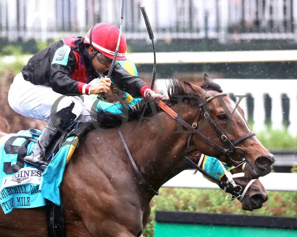 SIMPLY IN FRONT - 050325 - Race 05 - CD - Tight Finish 02 Churchill Downs