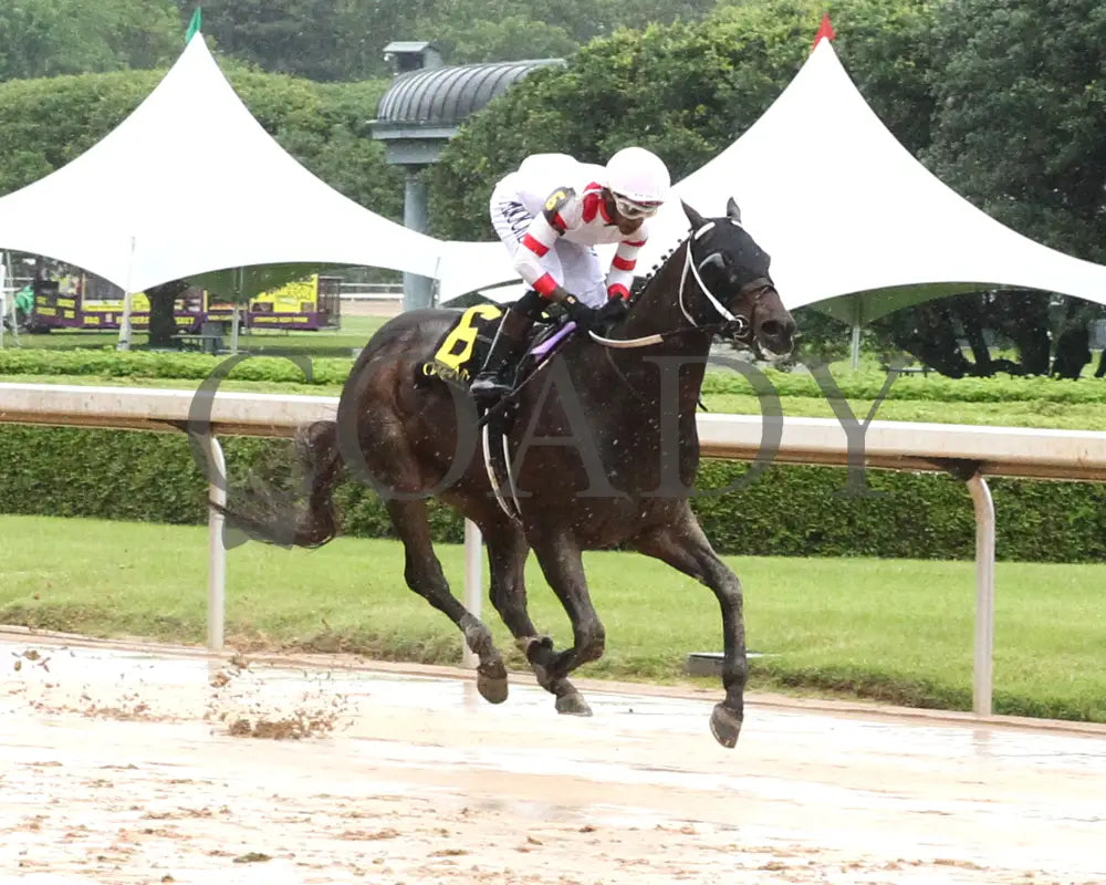 SKELLY - The Lake Hamilton Stakes - 05-02-25 - R08 - OP - Finish 02 Oaklawn Park