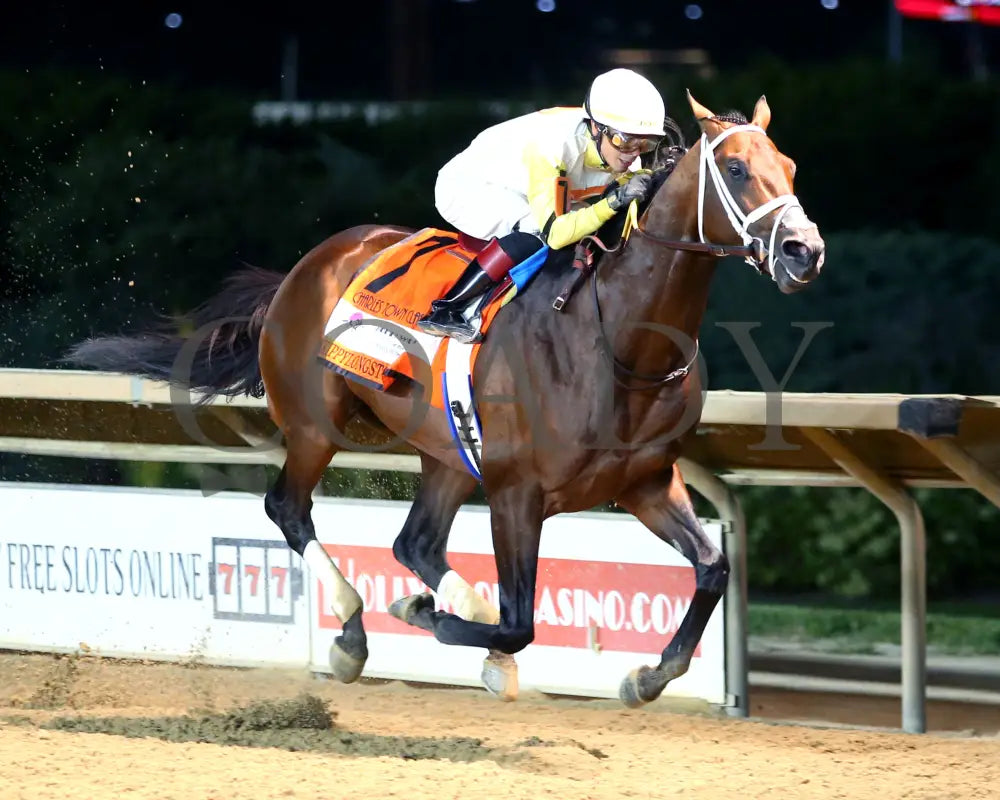 Skippylongstocking - Charles Town Classic G2 16Th Running 08-23-24 R11 Ct Finish 02 Hollywood