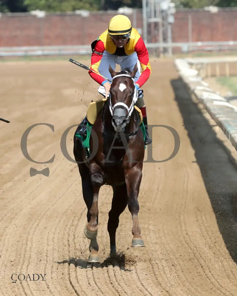 SMOKEN WICKED - The Harrods Creek - 5th Running - 09-20-25 - R07 - CD - Gallop Out 01 - Coady Media - Kurtis Coady Photography