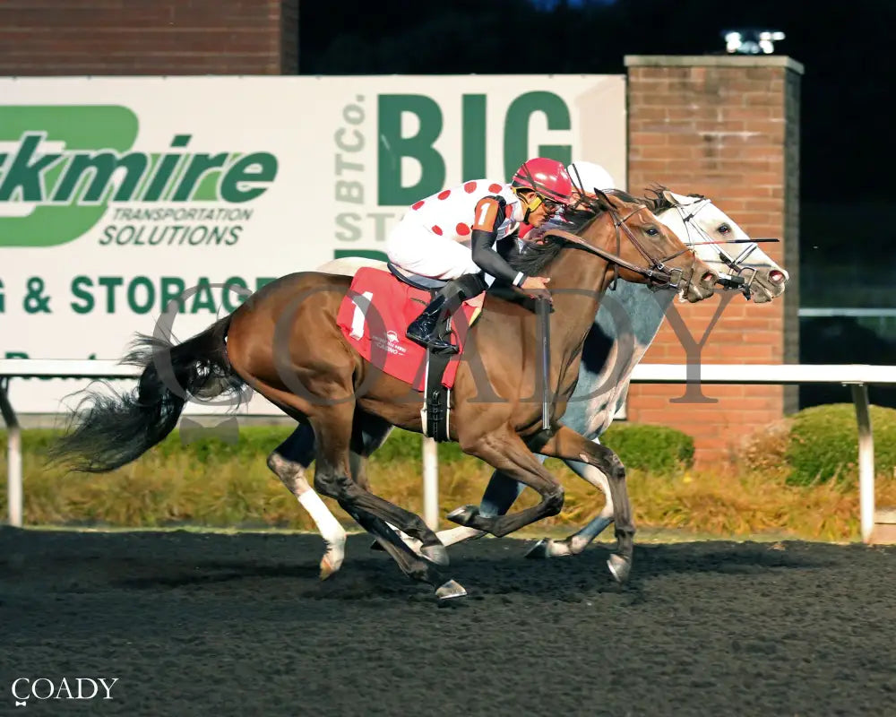 SMOOCH UP - The Presque Isle Debutante Stakes - 09-19-25 - R06 - PID - Finish 01 - Coady Media - Kurtis Coady Photography