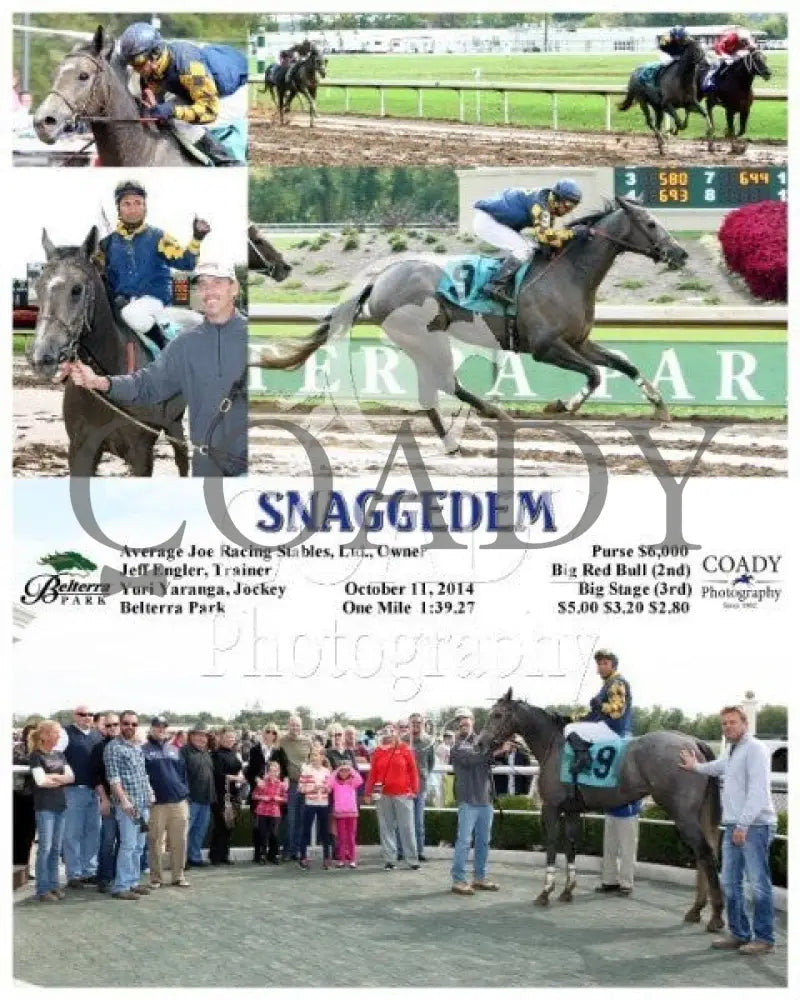 Snaggedem - 101114 Race 01 Btp Belterra Park