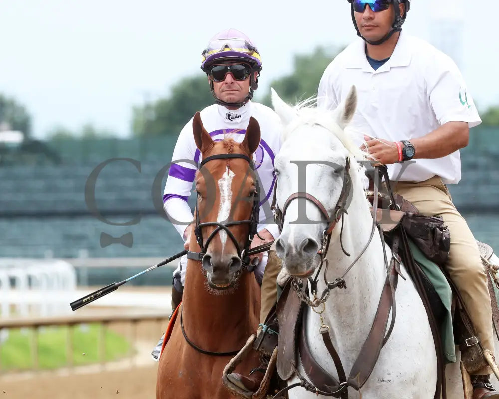Society Man - The Matt Winn G3 27Th Running 06-09-24 R08 Cd Post Parade 01 Churchill Downs