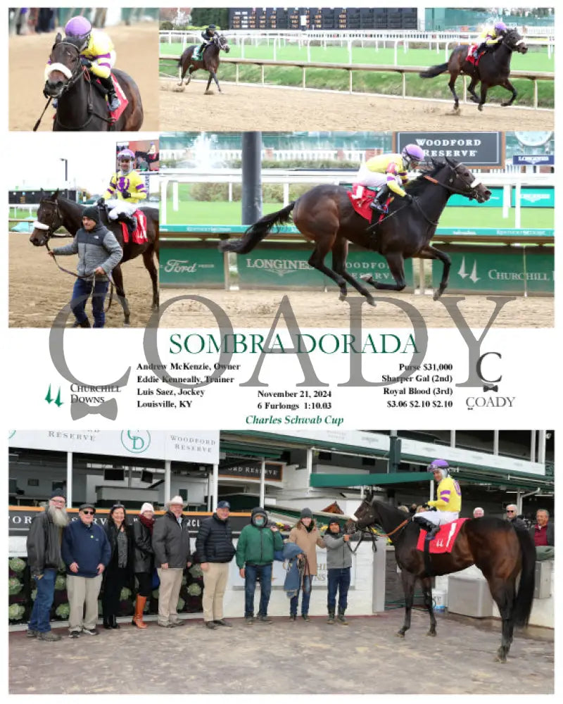 Sombra Dorada - 11-21-24 R05 Cd Churchill Downs