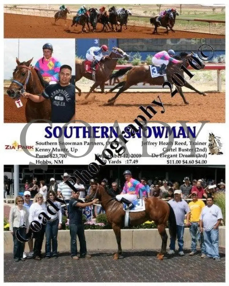 Southern Snowman - 9 12 2009 Zia Park