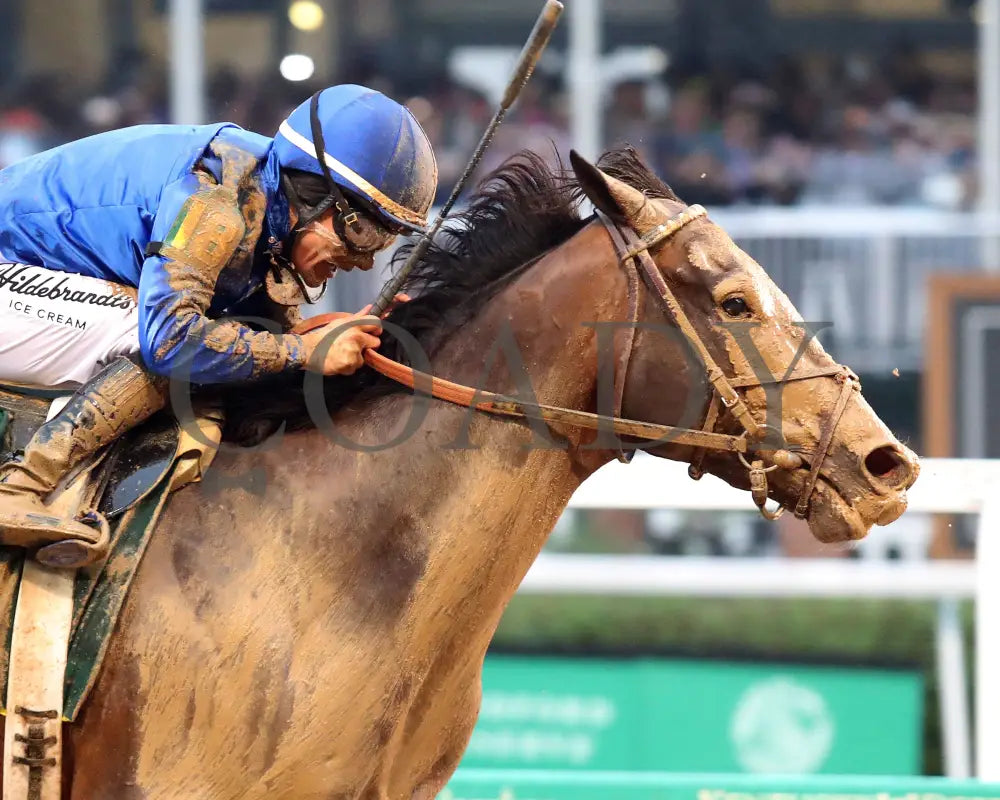 SOVEREIGNTY - 050325 - Race 12 - CD - Finish 06 Churchill Downs