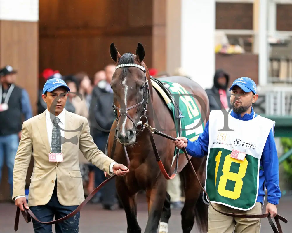 SOVEREIGNTY - 050325 - Race 12 - CD - Paddock 01 Churchill Downs