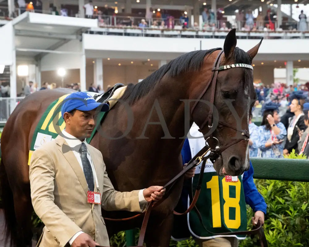 SOVEREIGNTY - The Kentucky Derby - 151st Running - 05-03-25 - R12 - CD - Paddock 08 Churchill Downs