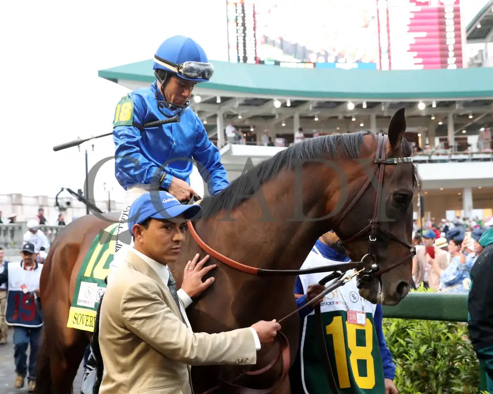SOVEREIGNTY - The Kentucky Derby - 151st Running - 05-03-25 - R12 - CD - Paddock 03 Churchill Downs