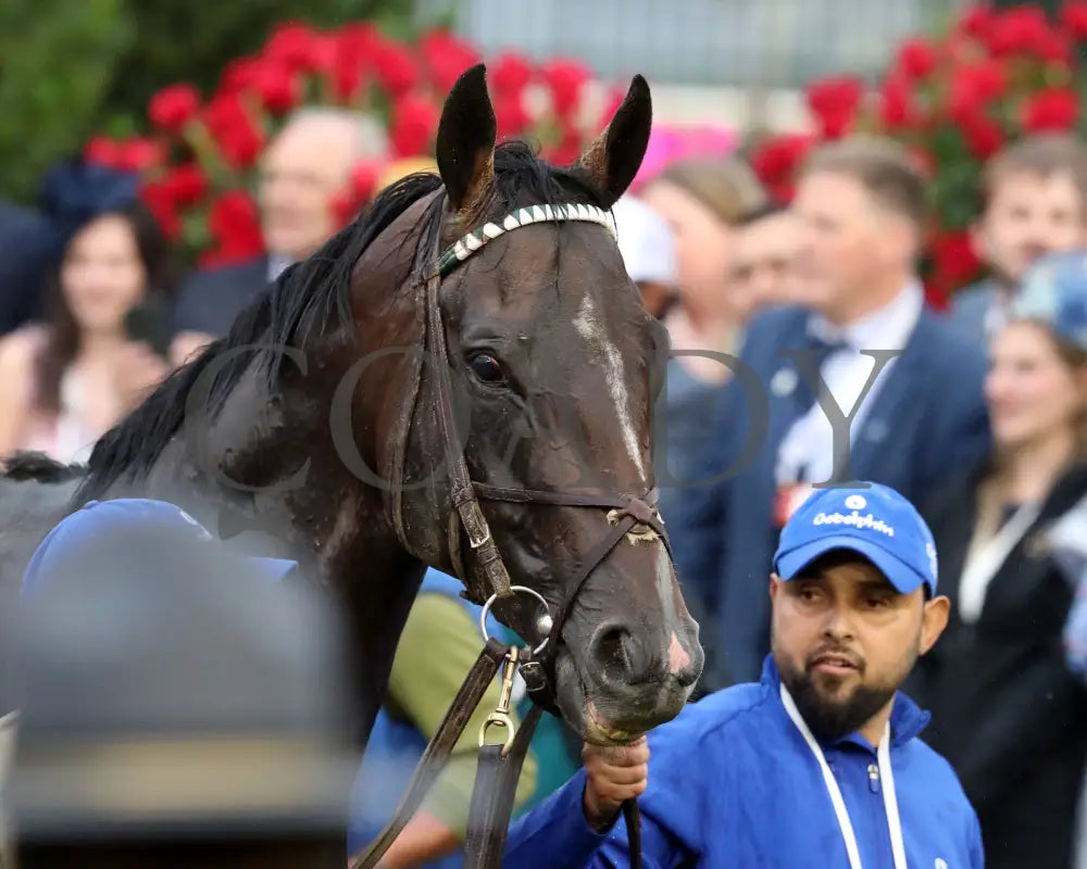 SOVEREIGNTY - The Kentucky Derby - 151st Running - 05-03-25 - R12 - CD - Post Race 08 Churchill Downs