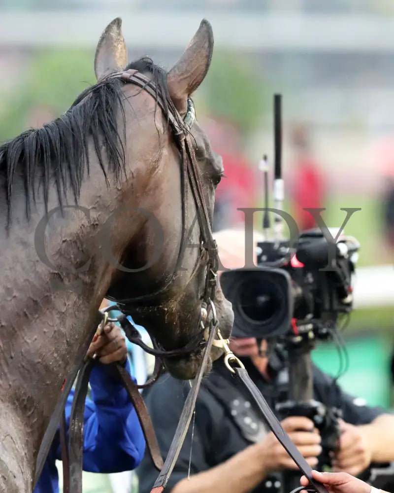 SOVEREIGNTY - The Kentucky Derby - 151st Running - 05-03-25 - R12 - CD - Post Race 09 Churchill Downs