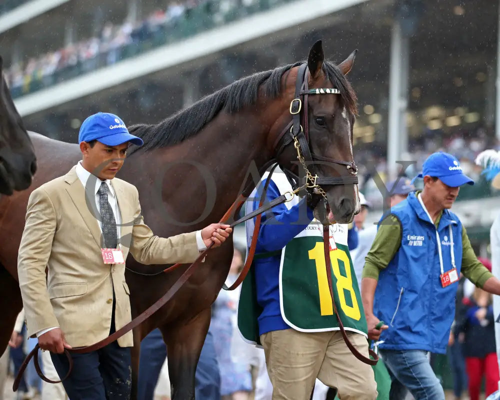 SOVEREIGNTY - The Kentucky Derby - 151st Running - 05-03-25 - R12 - CD - Walk Over 06 Churchill Downs