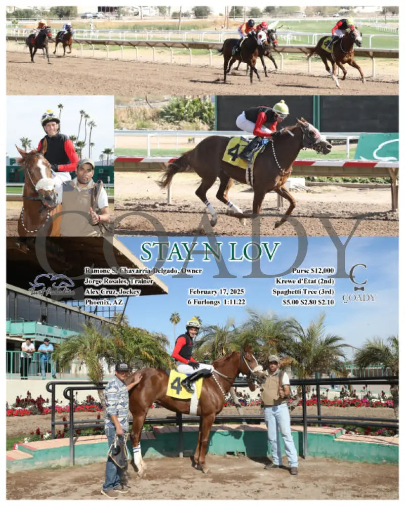 STAY N LOV - 02-17-25 - R04 - TUP Turf Paradise