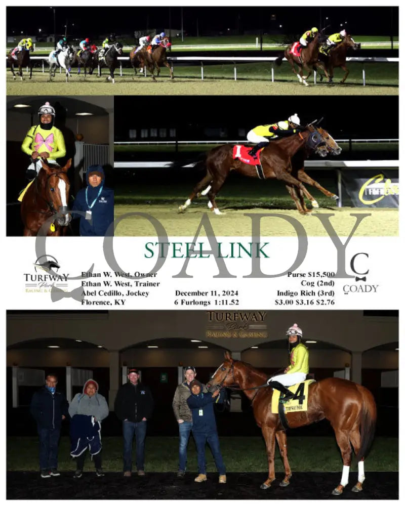 Steel Link - 12-11-24 R02 Tp Turfway Park