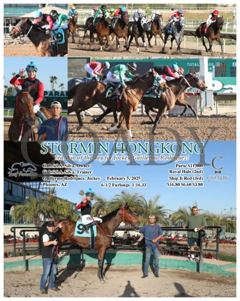 Stormin Hongkong - 3Rd Win Of The Day For Jockey Guillermo Rodriguez! 02-05-25 R09 Tup Turf Paradise