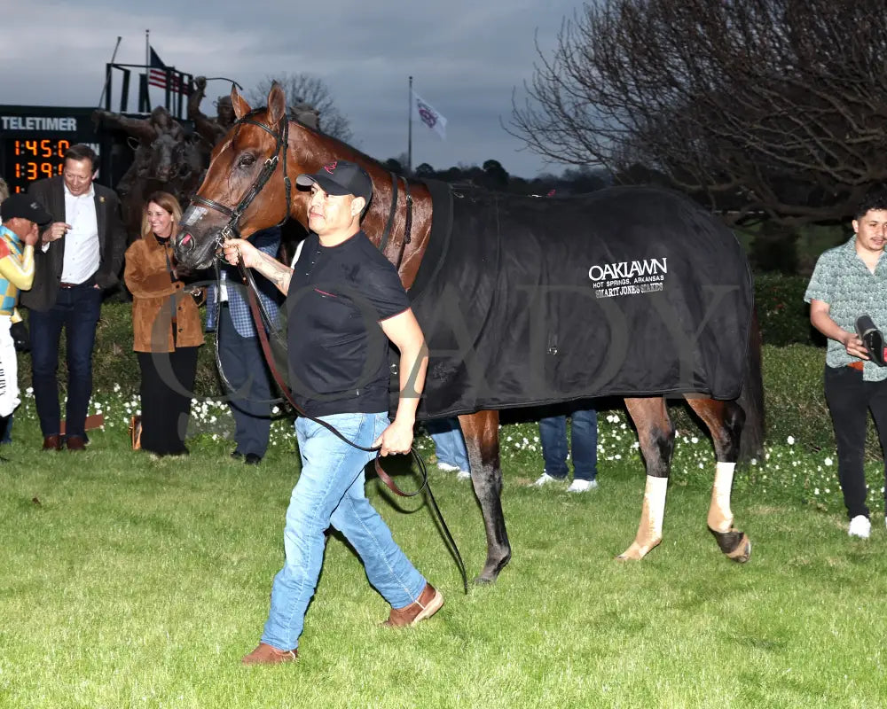 STRATEGIC RISK - Smarty Jones Stakes - 01-03-26 - R10 - OP - Blanket 01 - Coady Media - Kurtis Coady Photography
