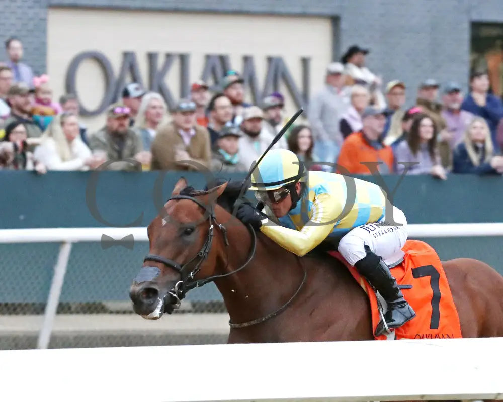 STRATEGIC RISK - Smarty Jones Stakes - 01-03-26 - R10 - OP - Inside Finish 04 - Coady Media - Kurtis Coady Photography