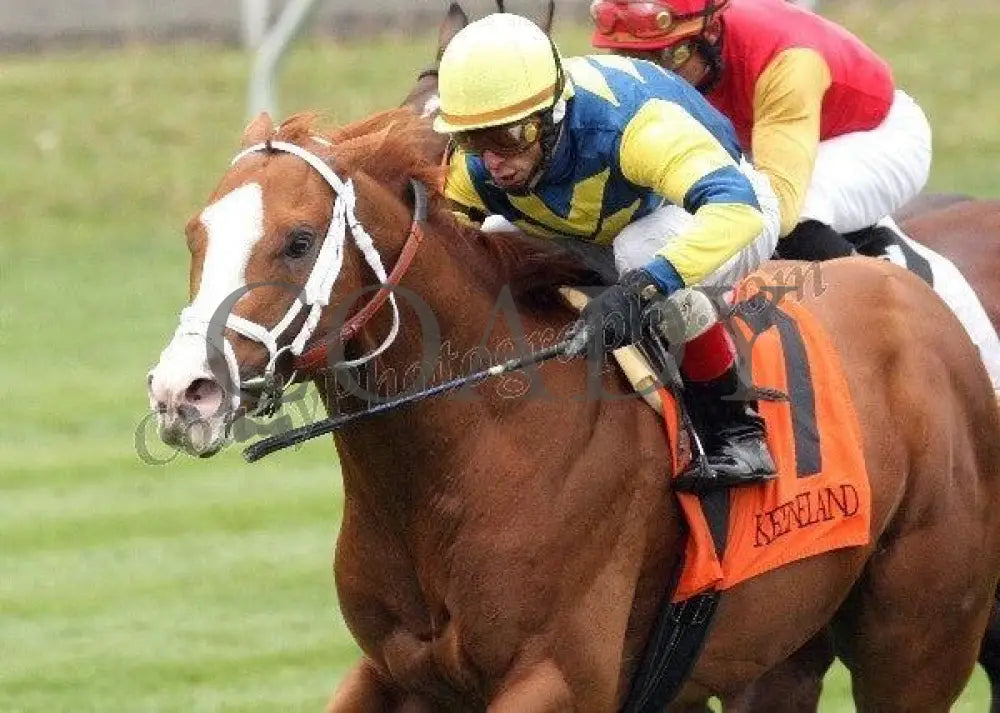 Stratford Hill - Inside Finish The Shakertown Gr Keeneland