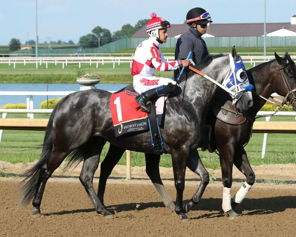 STREAKINDOWNTHEBEACH - Air Born Leader Overnight Stakes - 08-07-25 - R09 - Horseshoe Indiana - Post Parade 01