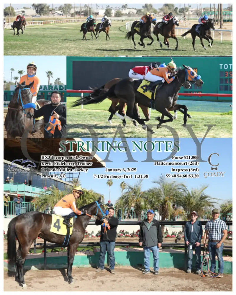 Striking Notes - 01-06-25 R04 Tup Turf Paradise