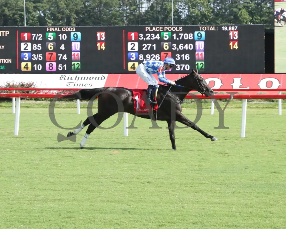 Strutsherstuff - The Bo Scott Memorial 08-24-24 R05 Cnl Finish 01 Colonial Downs