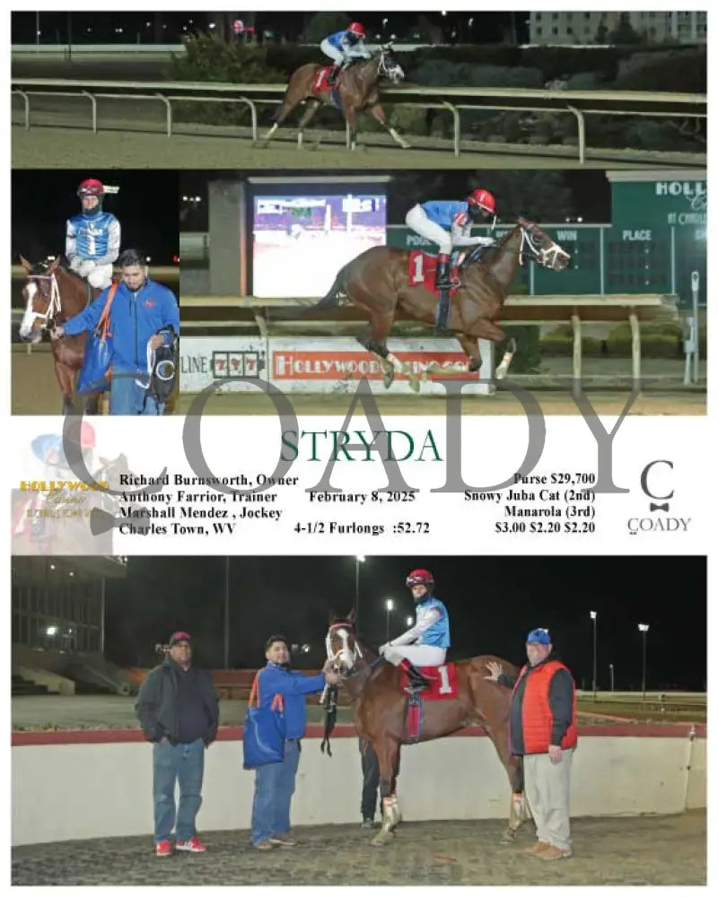 Stryda - 02-08-25 R07 Ct Hollywood Casino At Charles Town Races