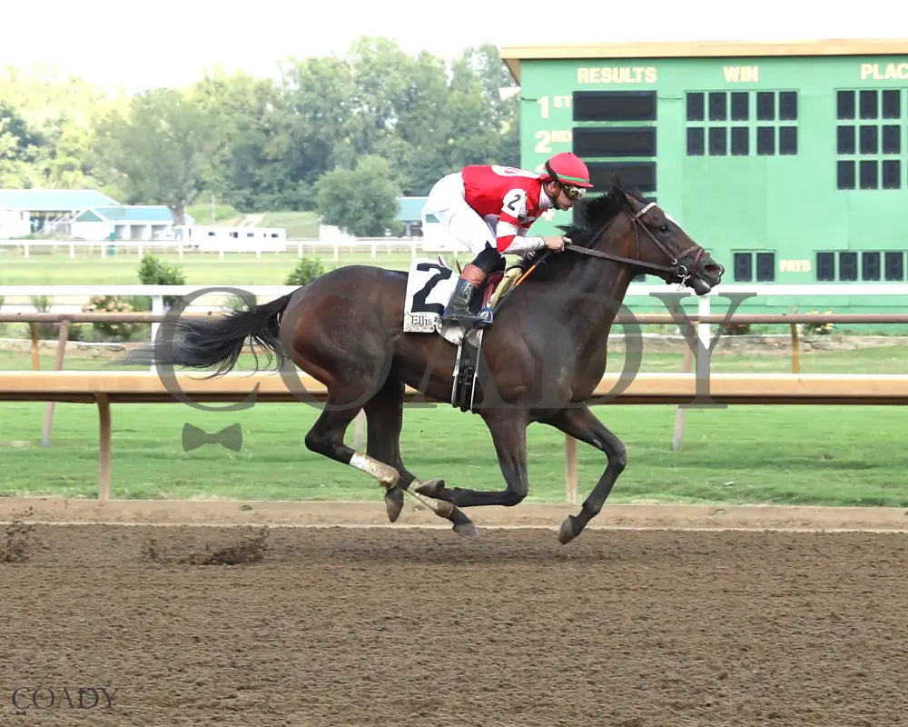 STURGEON MOON - The Audubon Oaks - 08-10-25 - R10 - ELP - Finish 01 Ellis Park