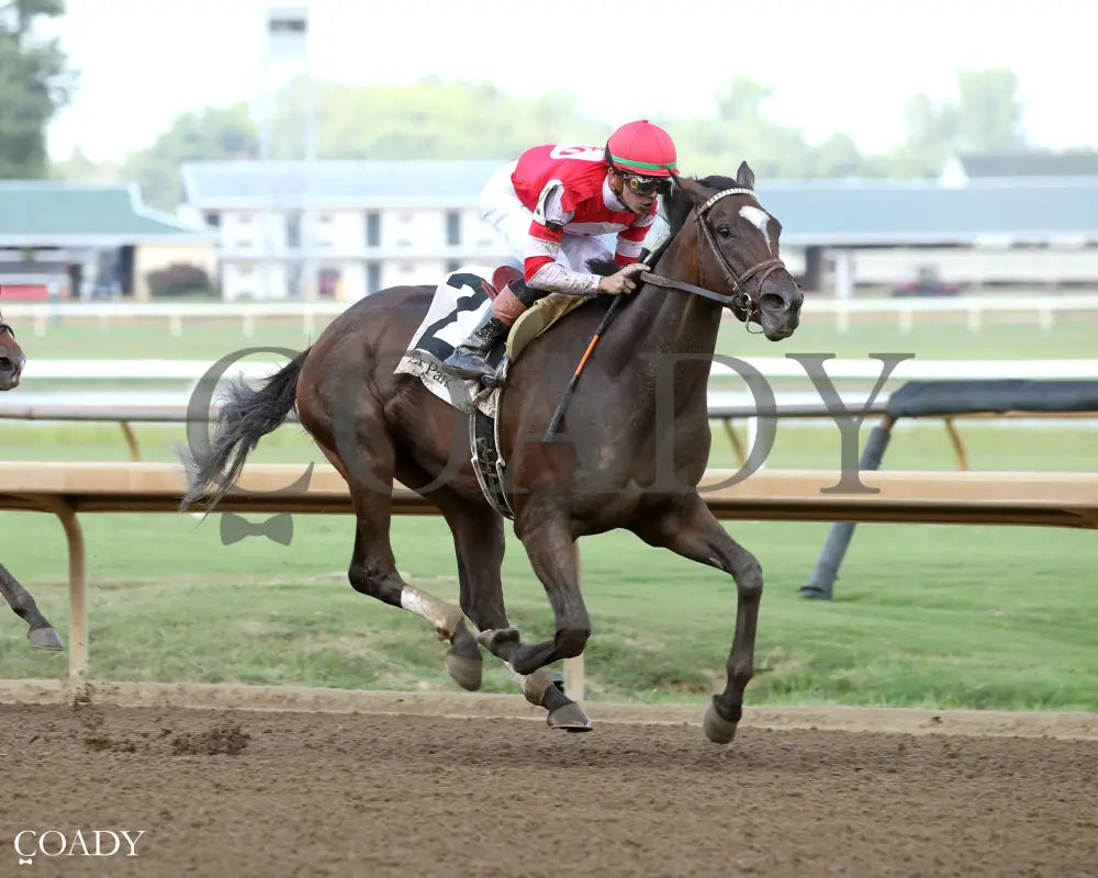 STURGEON MOON - The Audubon Oaks - 08-10-25 - R10 - ELP - Finish 02 Ellis Park